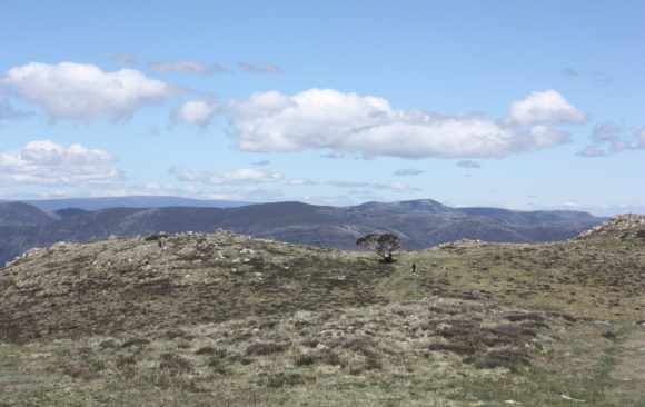 Mount Buller to Mount Stirling