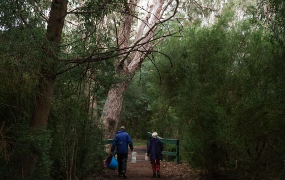 A bushland oasis in Melbourne’s north-east