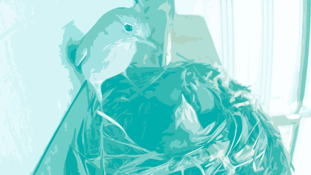 Illustration in teal of a shrike thrush with its young in their nest