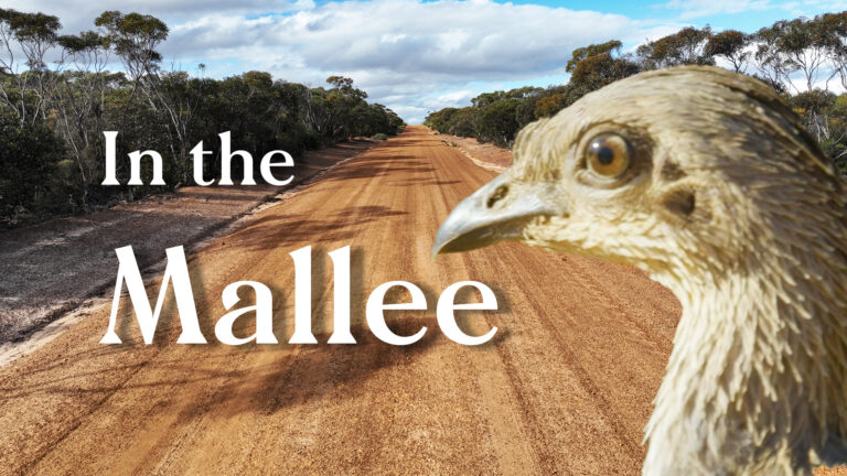 In the Mallee