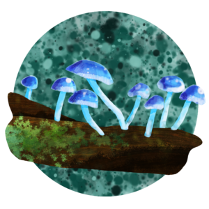 Fungi