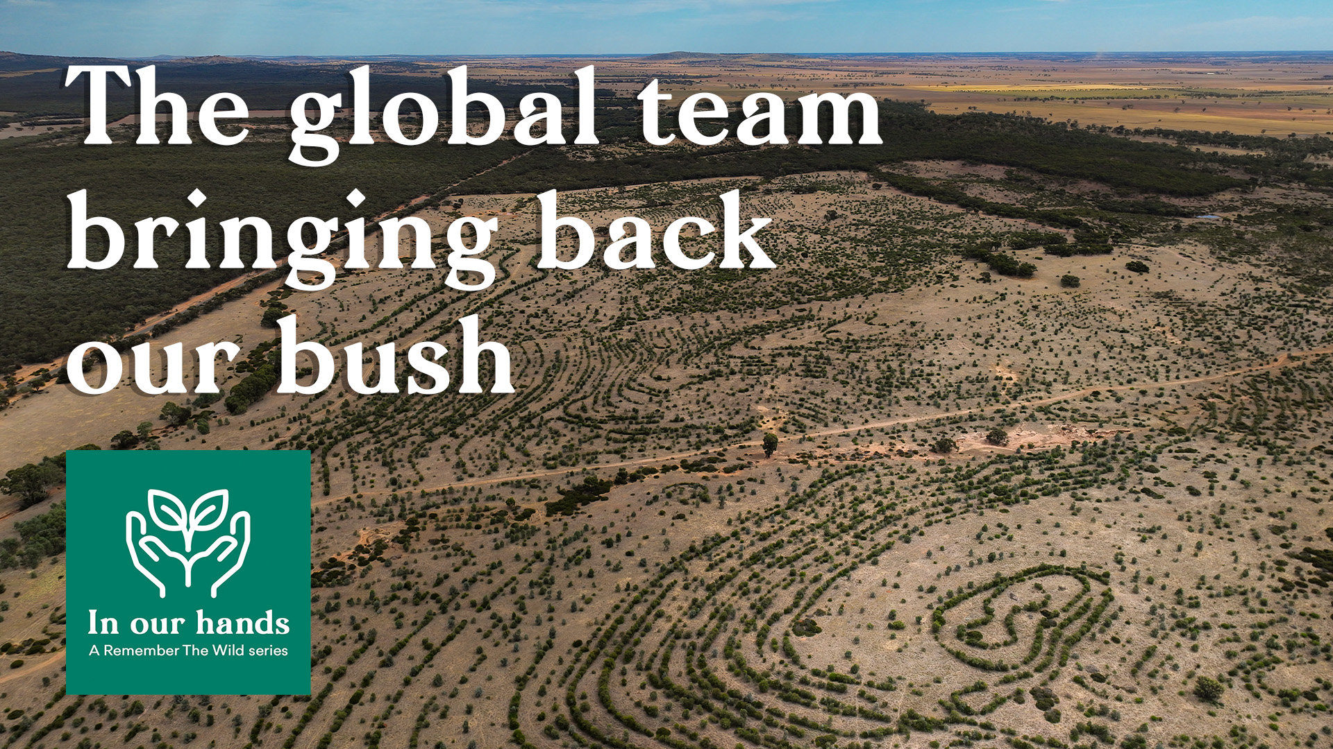 The global team bringing back our bush