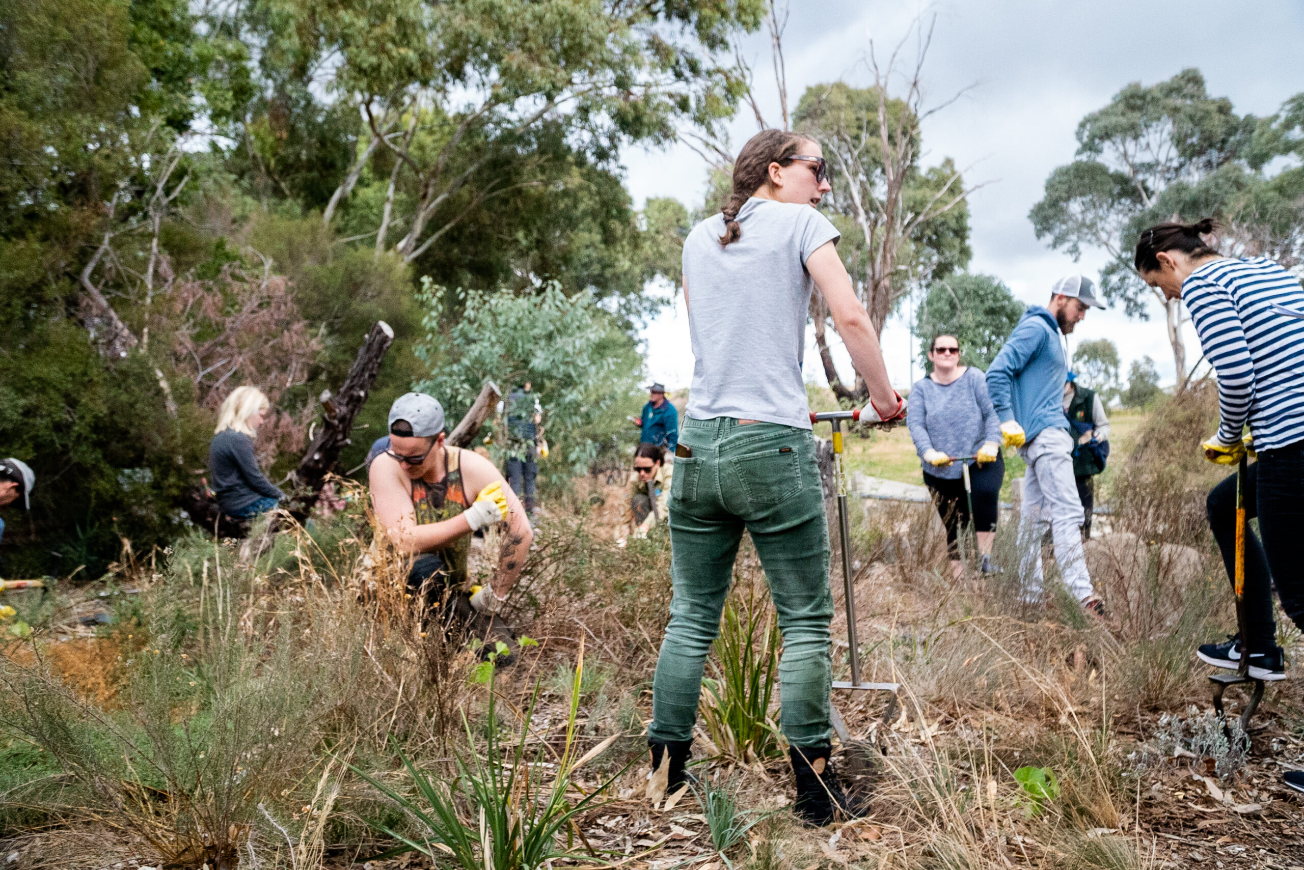 Community Conservationists